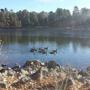 Meet your Posher, Tomeresa